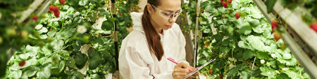 Header of young adult woman wearing protective glasses working in greenhouse, inspecting strawberry...