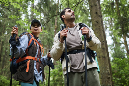 Young adult Caucasian man and young adult Caucasian woman hiking in forest holding trekking poles, looking up at trees, wearing backpacks, surrounded by tall green treesの写真素材