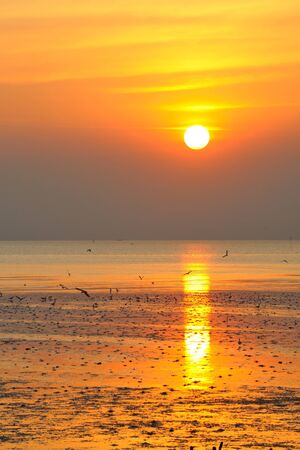 sunset wallpaperの写真素材