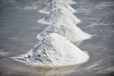 pile of salt in the salt pan at rural area of Thailand の写真素材