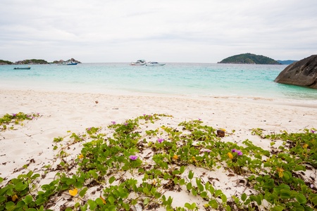 Similan islands, Thailandの写真素材