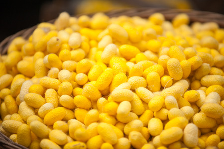 Handmade Silk Processの写真素材