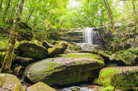 Phu Kradueng national park ,Thailandの写真素材