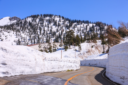 TATEYAMA, JAPAN - Apr 15, 2016: Unidentified tourists walk along snow corridor on Tateyama Kurobe Alpine Route, Japanese Alp in Tateyama, Japanのeditorial素材