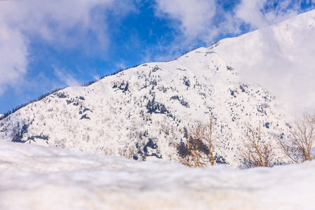 TATEYAMA, JAPAN - Apr 15, 2016: Unidentified tourists walk along snow corridor on Tateyama Kurobe...