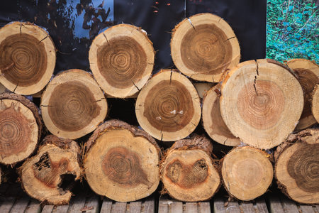 wood timber Background