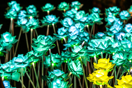 flowers light colorの写真素材