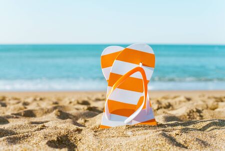 Colorful flip flops on the sandy beachの写真素材