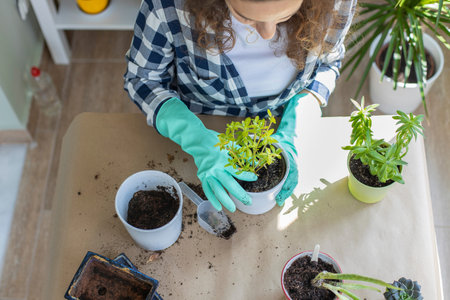 Cropped shot of a woman planting succulent plants into pots at a table