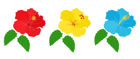 Tropical flower hibiscus setのイラスト素材