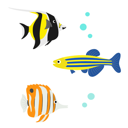 Tropical fish illustration setのイラスト素材
