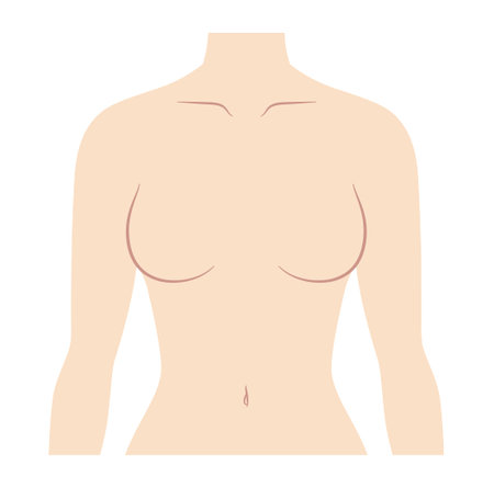 Illustration of female chest upper bodyのイラスト素材