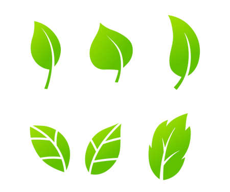 leaf illustration vctor icon setのイラスト素材