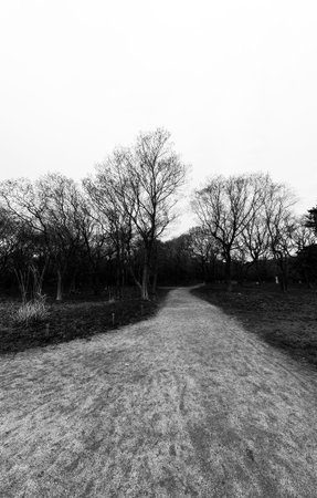 Street