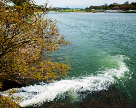 Spring season in japanの写真素材