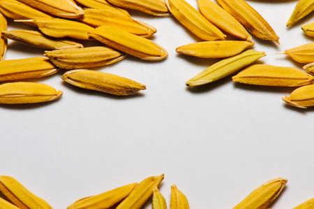 Textured of riceの写真素材
