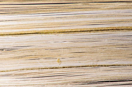 Textured  paper of bookの写真素材