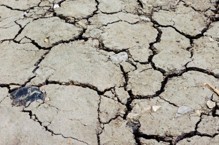 Textured of ground