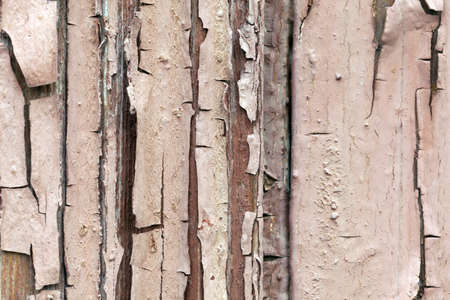 Vintage texture of a red piece of wood macro shotの写真素材
