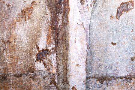 Grunge texture from oil on canvasの写真素材