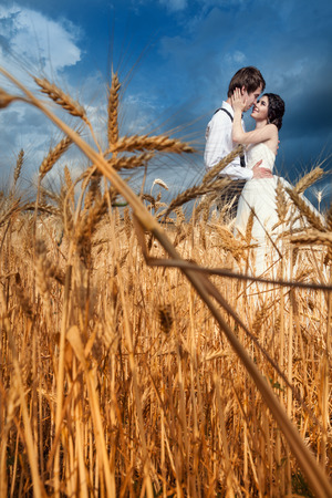 In love couple on wedding day at wheat field. Colorful vibrant image. Happy young maried family. Bride and groomの写真素材