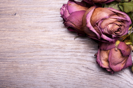 Dead roses on vintage wooden background in studio photoの写真素材