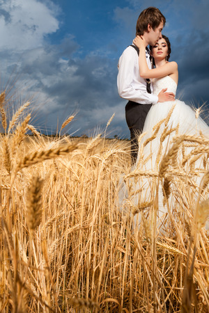 Bride and groom in tender hugs in wheat field with dramatic bkue sky in the back. Just married couple. Happines and love. Wedding photographyの写真素材