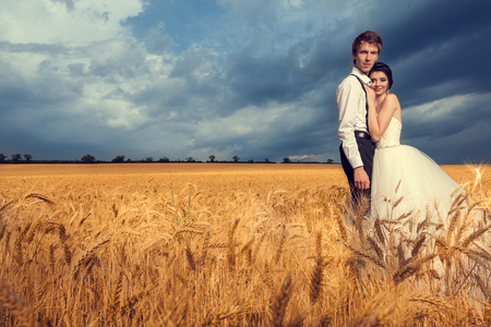 Beautiful bride and groom in wheat field with blue sky in the background. Wedding photographyの写真素材