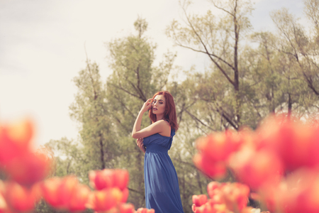 Gorgeous woman in red tulip flower field in summerの写真素材