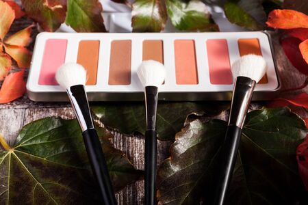 Professional cosmetics make up prducts in autumn concept on dark wooden background. Studio photoの写真素材