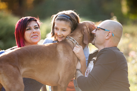 Playing with a dog in the park. Animal lovers. Mother, father, daughter and their dogの写真素材