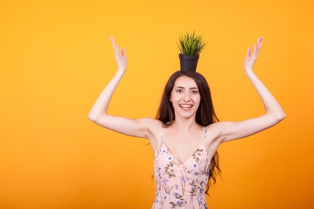 Beautiful young woman holding pot with plant in studio over yellow background.の写真素材