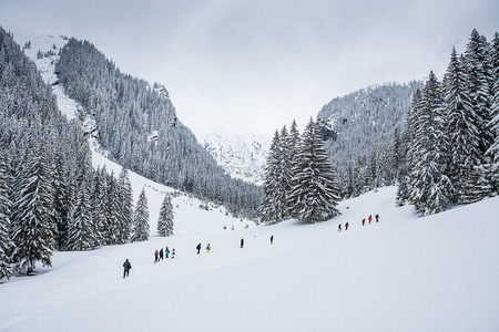 Group of trekkers on snow trail in winter forest. Outdoor adventure.