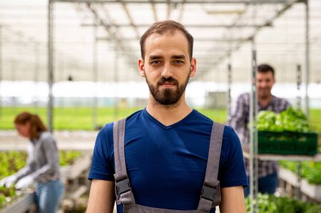 Close up pictures of a young farmer in the greenhouse. Satisfied faceの写真素材
