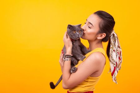 Beautiful young girl holding and loving her adorable cat in studio over yellow background.の写真素材