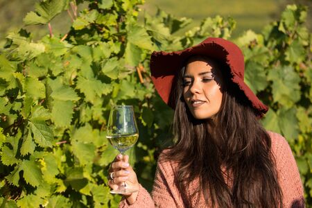 Beautiful young female with stylish hat in a vineyard holding a glass of white wine. Portrait of beautiful brunette in the vineyard.の写真素材