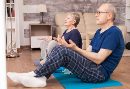 Two cheerful old people relaxing in yoga position. Old person healthy lifestyle exercise at home, workout and training, sport activity at home on yoga mat.の写真素材