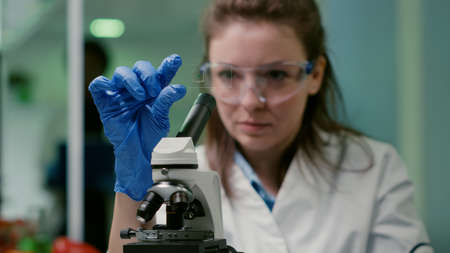 Closeup of scientist woman looking at test sample of leaf analyzing for biological experiment with organic plants. Biologist specialist discovering organic gmo plants while working in microbiology labの写真素材