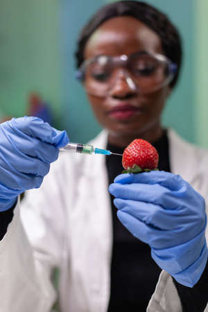 Closeup chemist scientist injecting nature strawberry with chemical pesticides using medical syringe for botany expertise. Biochemist working in biology laboratory testing health food.の写真素材