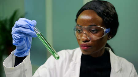 Biologist woman holding test tube with genetic liquid examining green dna sample for biochemistry expertise. Scientist researcher working in agriculture laboratory developing eco environmentの写真素材