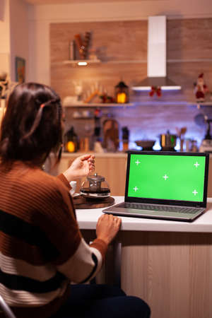 Young adult watching laptop device with green screen technology for mockup template app. Caucasian woman using notebook for digital chroma key isolated display on virtual gadgetの写真素材