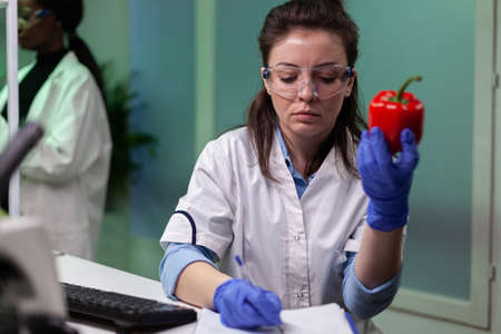 Biologist woman holding gmo pepper writing microbiology medical expertise on clipboard working in...