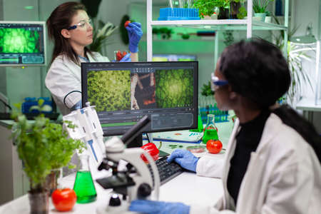 African american biologist scientist analyzing genetically modified plant expertise on computer working at gmo plants experiment in biochemistry laboratory. Woman researcher searching genetic muationの写真素材