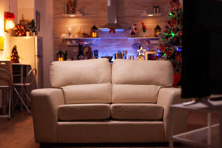 Empty living room with modern furniture ready for christmas holiday. In background x-mas decorated...