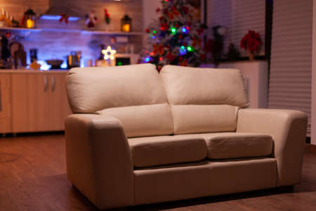 Empty xmas living room with nobody in it ready for winter holiday at home. In background x-mas decorated kitchen with modern furniture. Christmas decorations at home. Christmas festive ornamentsの写真素材