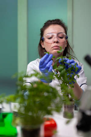 Portrait of biochemist researcher woman analyzing organic leaf of green sapling searching for genetic modification during biological experiment. Biologist doctor working in pharmaceutical laboratoryの写真素材