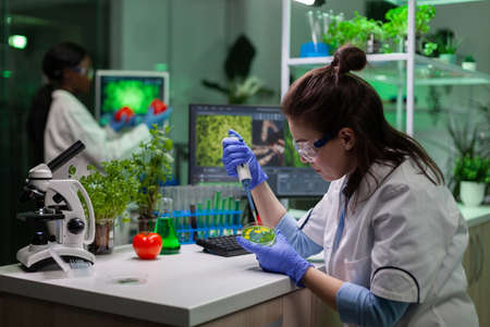 Microbiologist woman putting liquid in translucent petri dish using micropippete analyzing fungi colony during biochemistry experiment. Multi-ethnic team of scientists working in microbiology labの写真素材