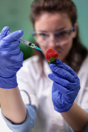 Closeup of Biologist researcher injecting strawberry with chemical pesticides liquid working at genetically modified fruits experiment. Chemist scientist doctor analyzing gmo fruit in laboratoryの写真素材