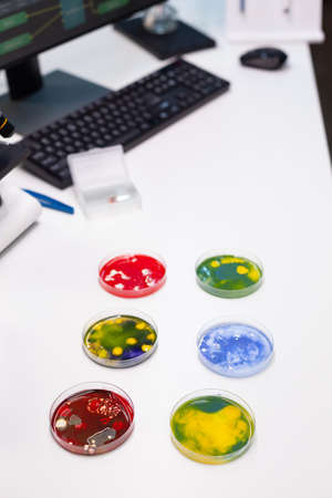 Close up of petri dish with bacteria and virus on desk. Examination tool for microscopic analysis in...