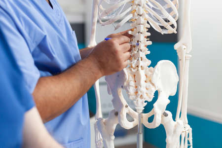 Close up of nurse showing spine bones on human skeleton for diagnosis presentation of senior...